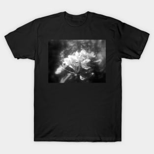 apple blossoms #3, black and white T-Shirt